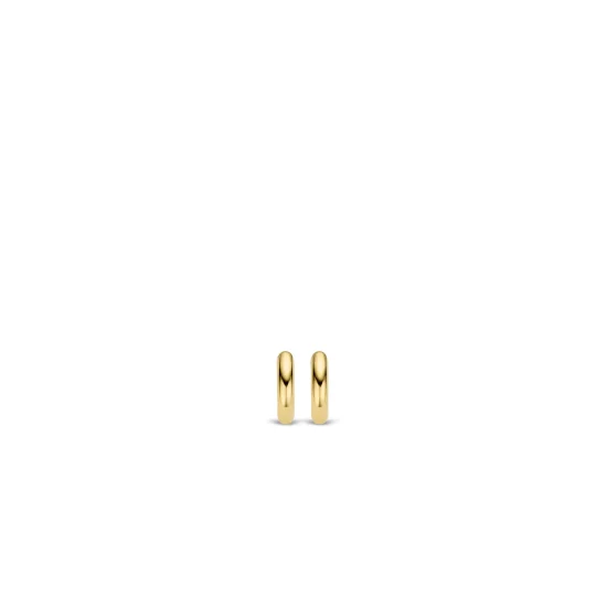 TI SENTO - Milano Earrings 7210YS